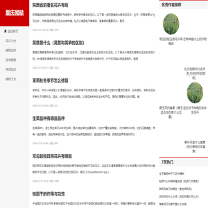 重庆闻哒网络信息咨询有限公司